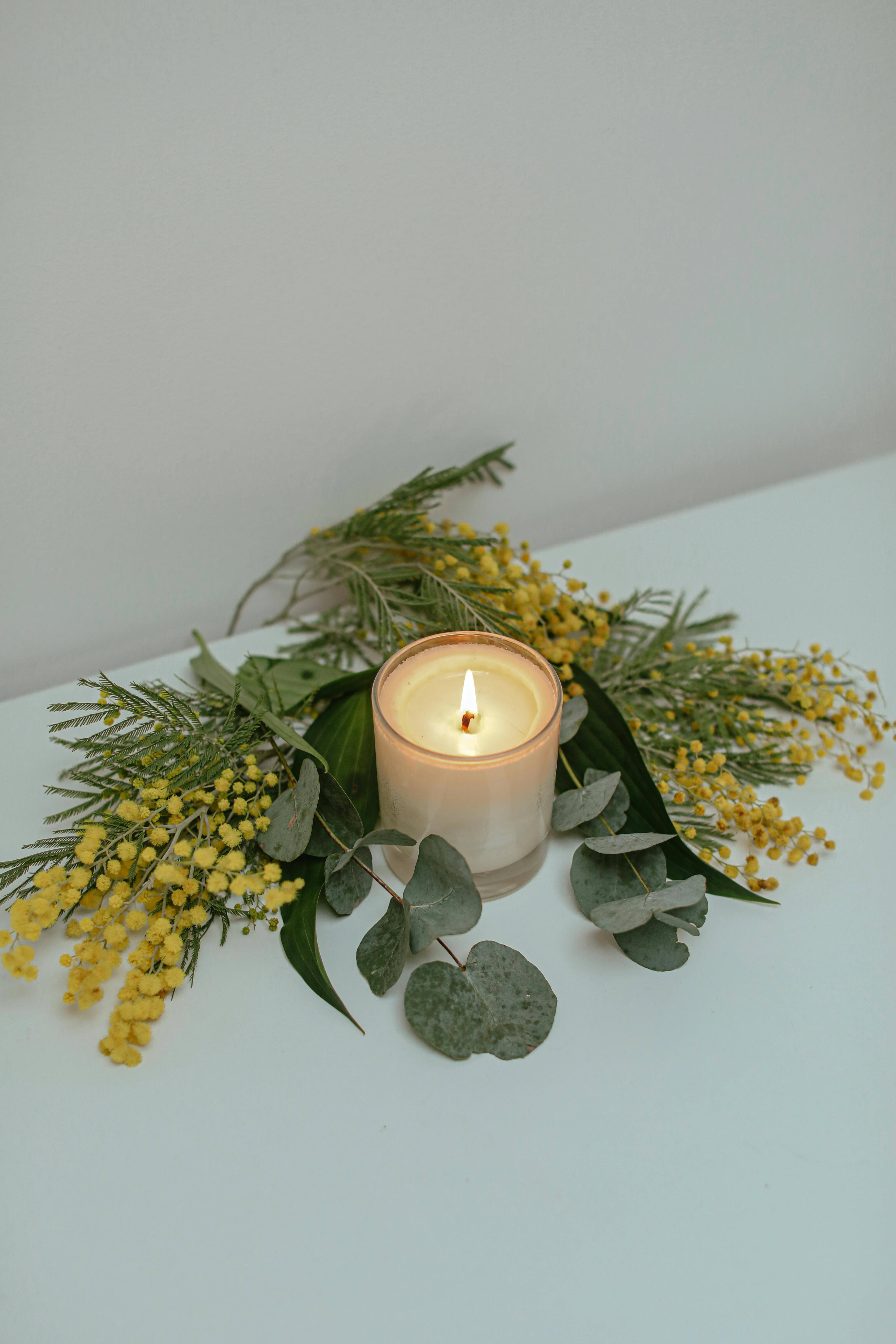 Eucalyptus Renewal candle